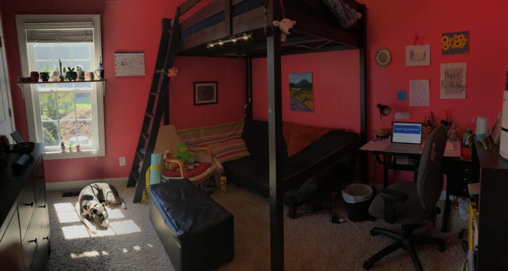 A picture of the neon-pink walls in my childhood bedroom.